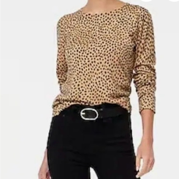 J. Crew Factory Tan and Black cheetah Teddy Sweater - Picture 1 of 6